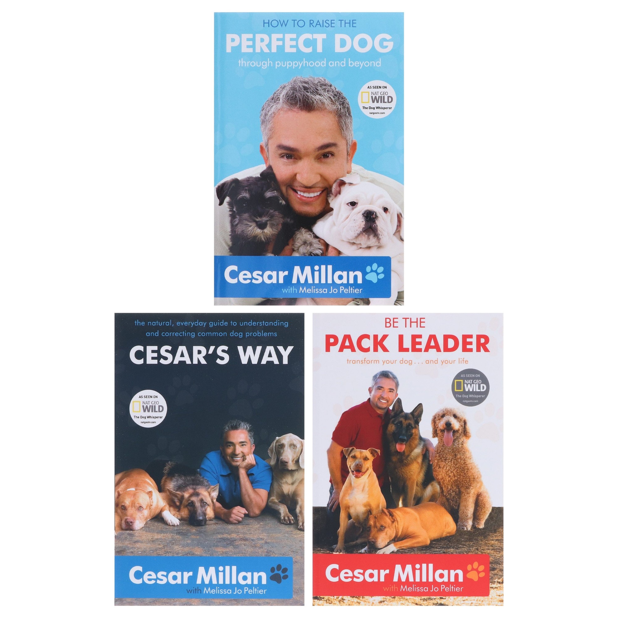 Cesar Millan 3 Book Set How To Raise The Perfect Dog Cesar's Way - image 2