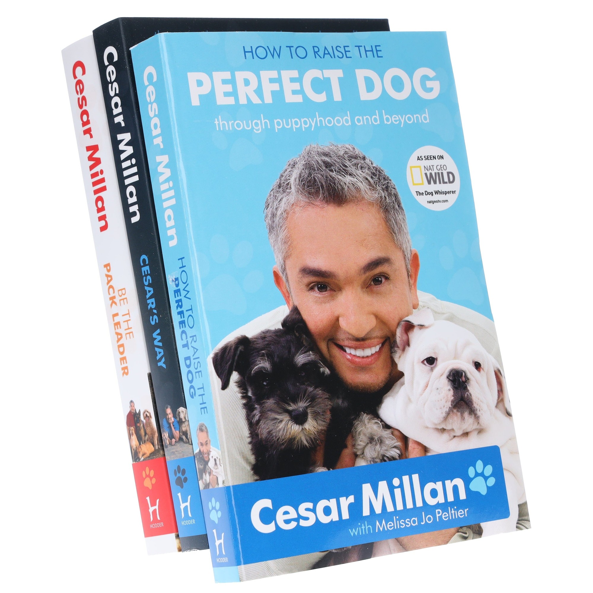 Three hardcover books in a set titled "Cesar Millan 3 Book Set How to Raise the Perfect Dog Cesar's Way," featuring colorful covers with images of dogs and Cesar Millan.