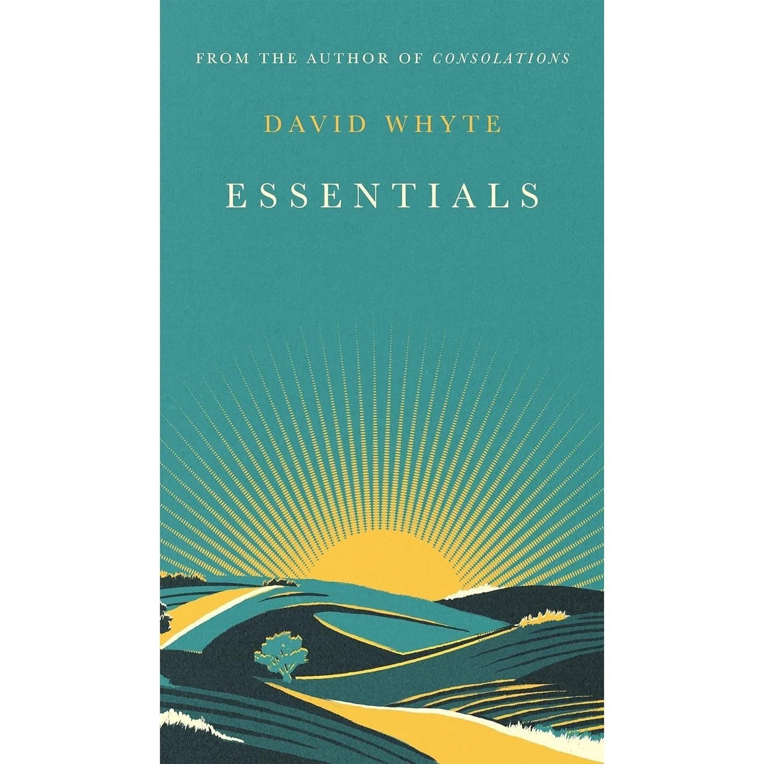 David Whyte 2 Book Set Consolations And Essentials Hardcover Edition Poetry Collection - image 3