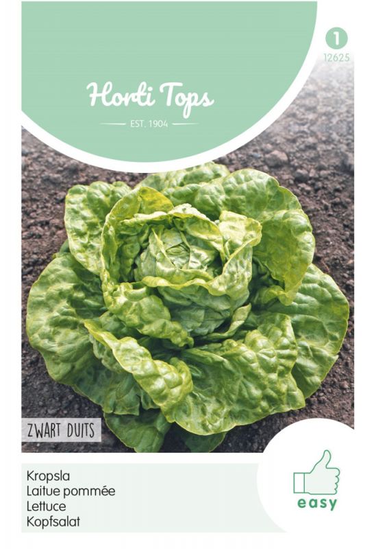 Lactuca Sativa Zwart-Duits lettuce with vibrant green leaves forming a tight, round head, set against a neutral background with product details in light green and white.
