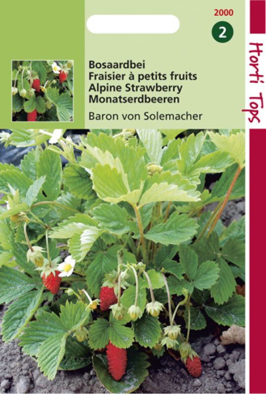 Seed packet for "Hortitops Aardbeien Fragaria Vesca Baron Van Solemacher," featuring green leaves and red strawberries, with clear text and a small image of the plant.