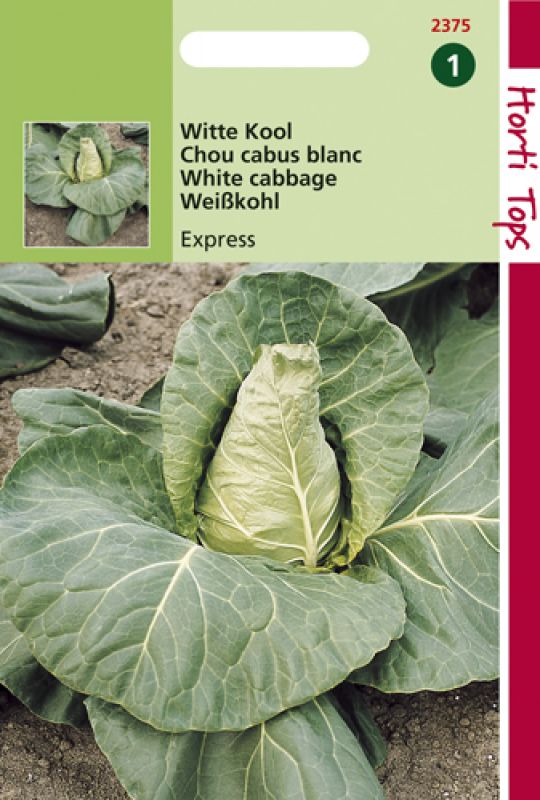 Seed packet for Hortitops Spitskool Brassica Oleracea Express, featuring a close-up of a green cabbage with tightly wrapped leaves, set against a soil background.