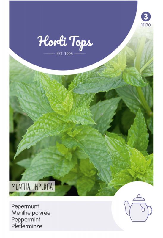 Green peppermint leaves with a glossy texture, packaged in a white and purple label featuring the text "Horti Tops" and "Mentha Piperita," along with an illustration of a teapot.
