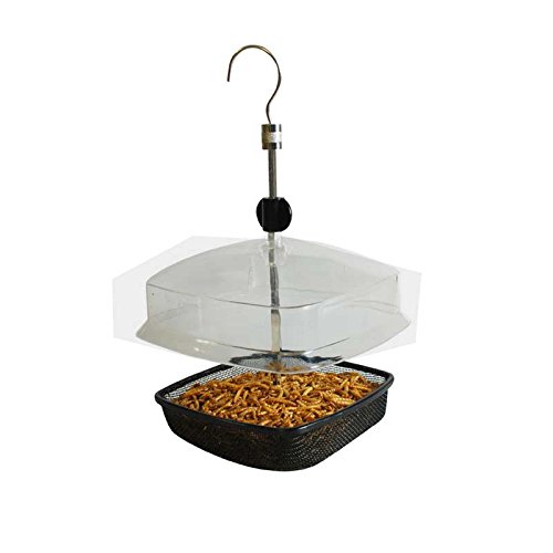 Metal mealworm wild bird tray feeder with a black mesh base, clear plastic canopy, and a sturdy hanging hook for easy installation.