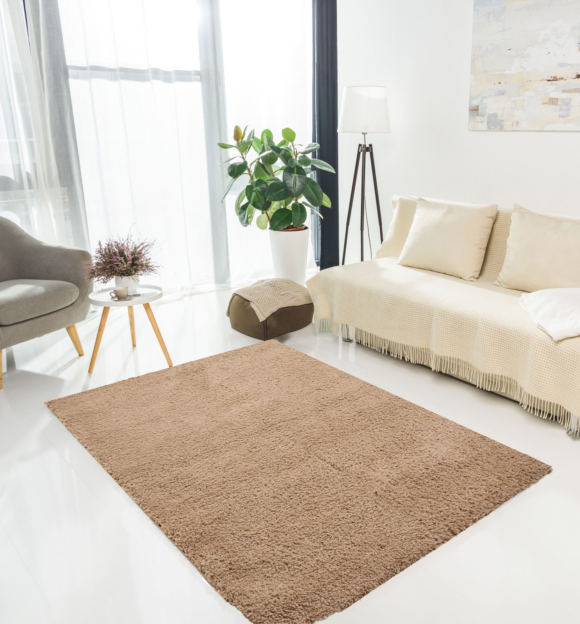 Soft, plush brown rug in a minimalist living space, featuring a light-colored sofa with cushions, a potted plant, and a small side table with a decorative arrangement.