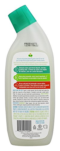 Ecover Pine and Mint Toilet Cleaner in a 750ml bottle, featuring a green cap, a clear plastic body, and labels with eco-friendly symbols and usage instructions.