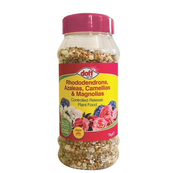 Clear plastic container with a pink lid, filled with multicolored granules; labeled for use with rhododendrons, azaleas, camellias, and magnolias, weighing 1kg.