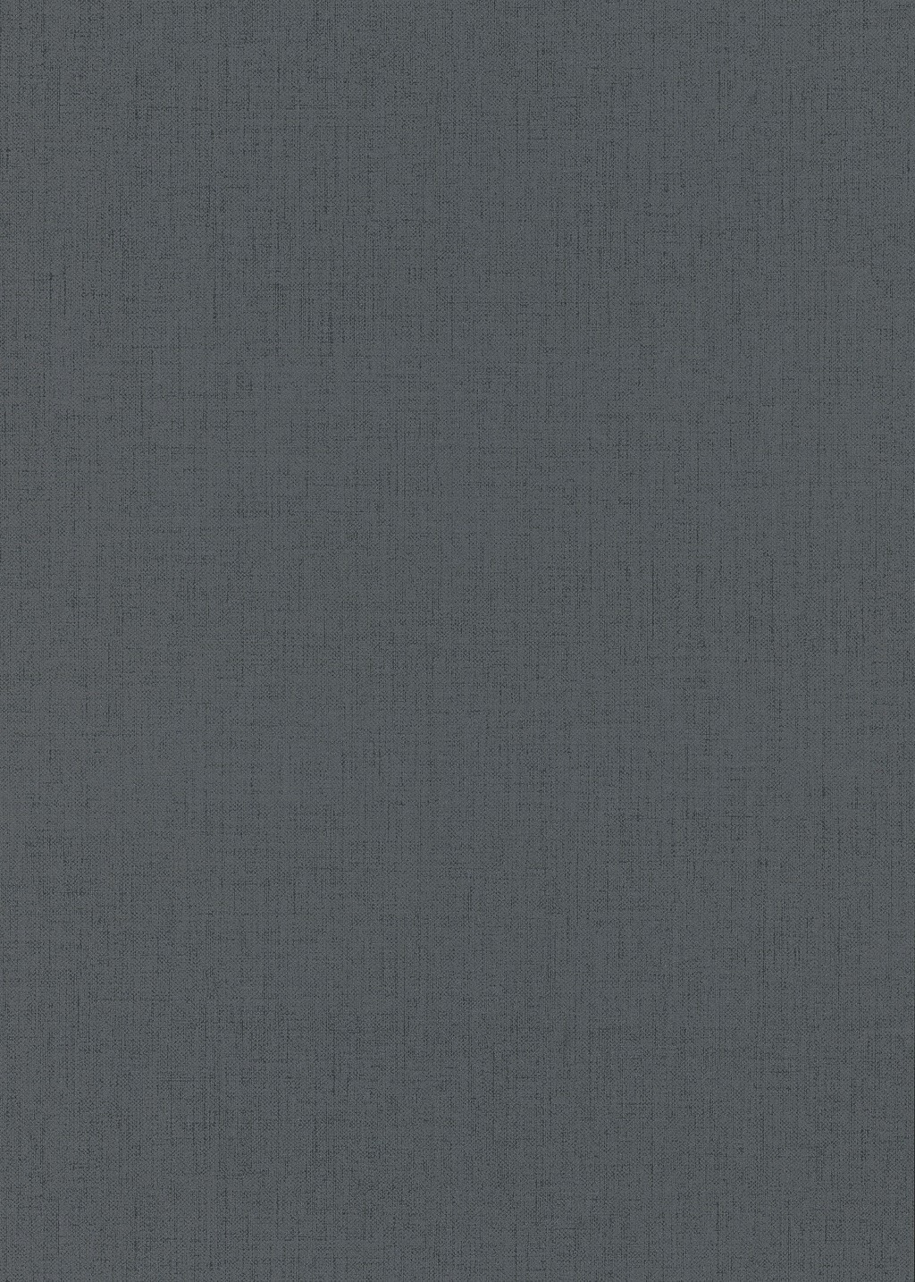 Erismann Elin Woven Modern Plain Black Wallpaper - image 3