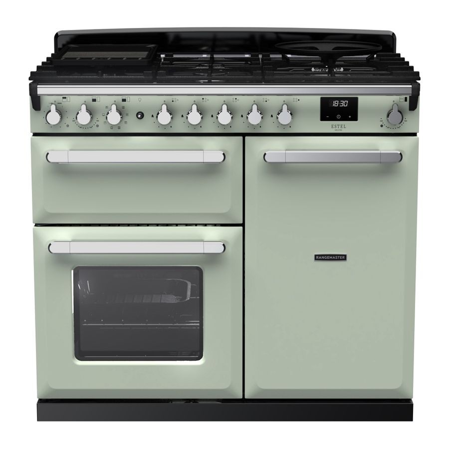 Mint green dual fuel range cooker with chrome accents, featuring a five-burner gas hob, two ovens, and control knobs, designed for a modern kitchen aesthetic.