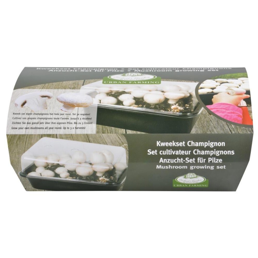 Fallen Fruits Mushroom Home Grow Starter Kit - image 2