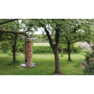 Stainless steel seed feeder in silver, featuring a cylindrical design with a mesh body, hanging from a tree branch, surrounded by greenery.