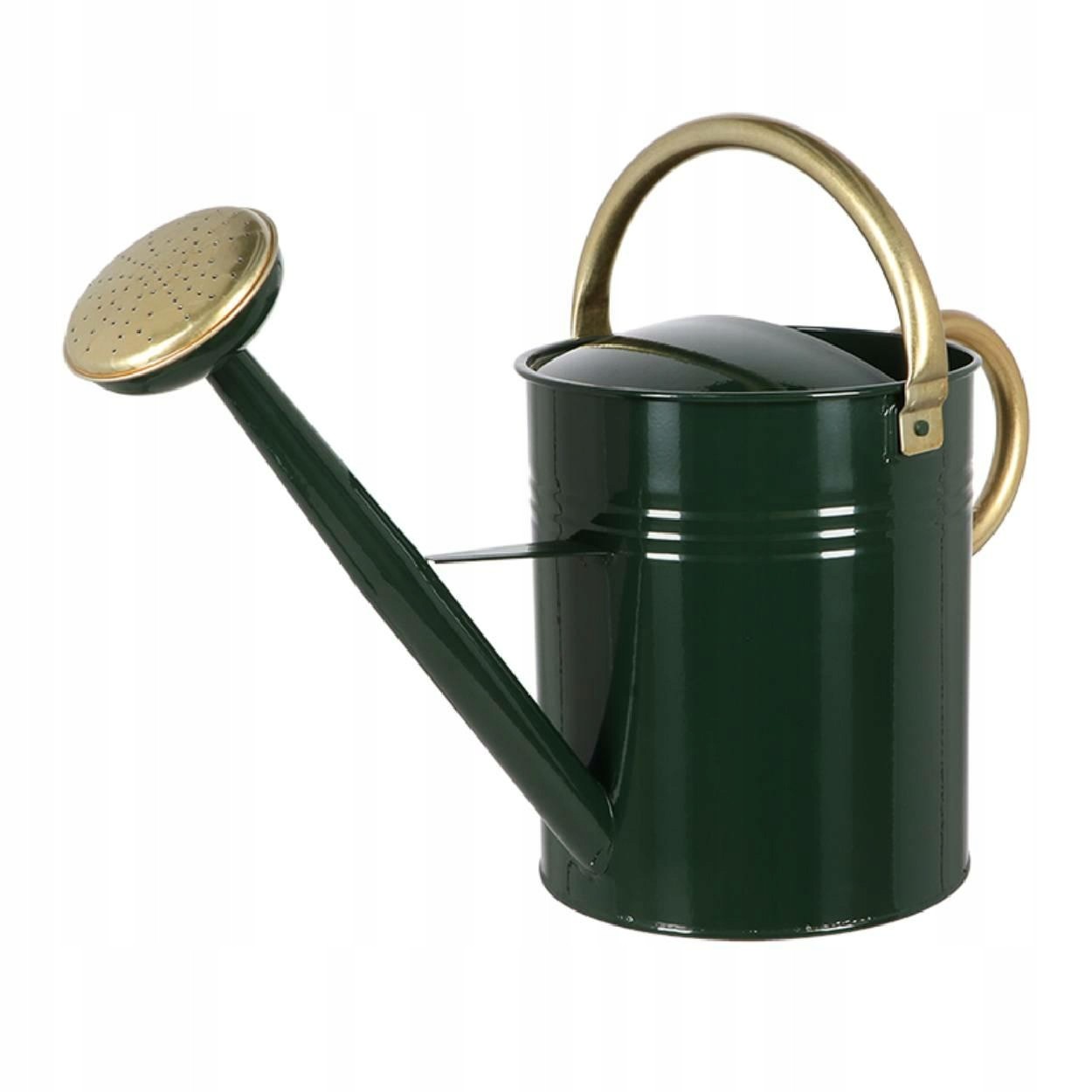 Green galvanized steel watering can with a vintage retro design, featuring a long spout, a round brass watering head, and a curved brass handle.