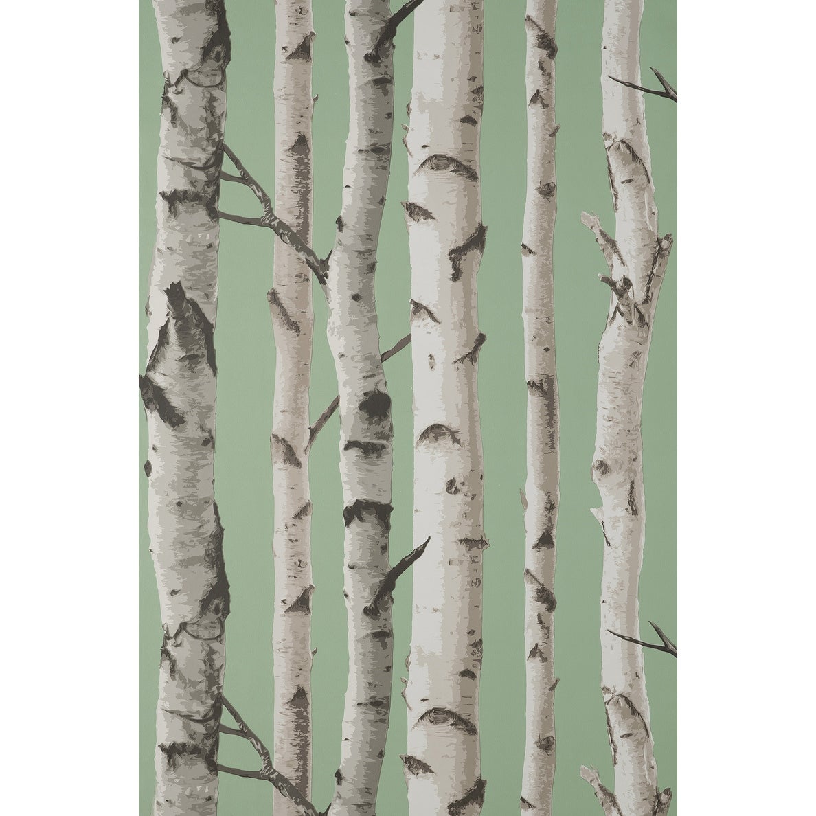 Sage green wallpaper featuring realistic birch tree trunks with white bark and dark accents, creating a serene, nature-inspired design.