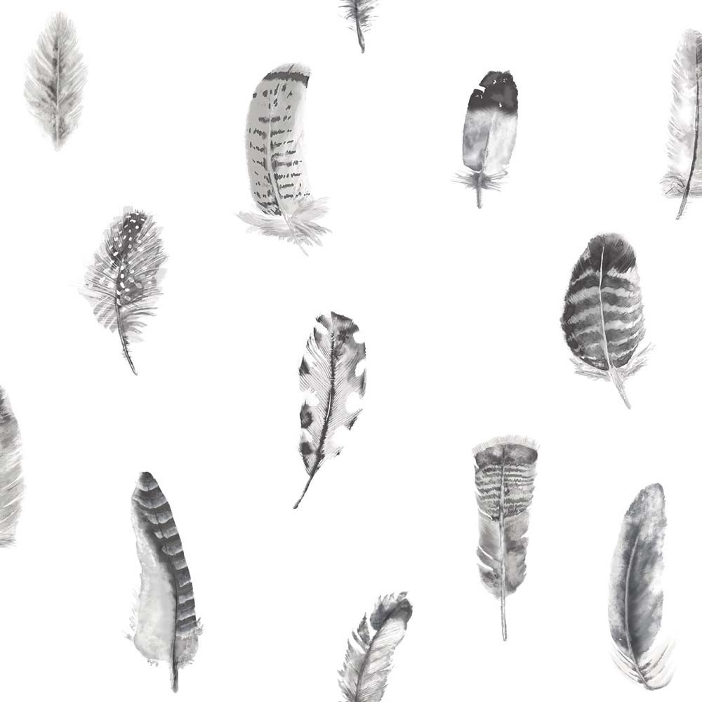 Black and white wallpaper featuring various watercolor-style feathers with intricate details and textures on a light background.