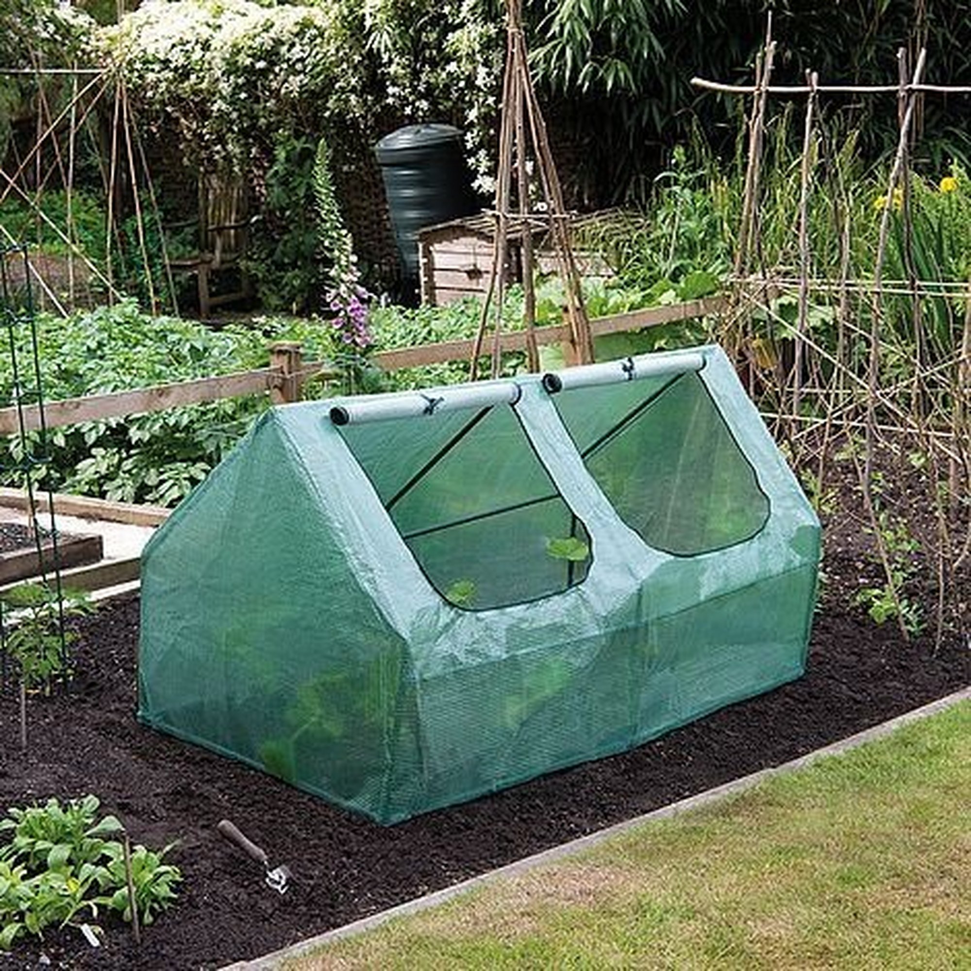 Green garden grow cloche measuring 180x90x90cm, made of mesh material, featuring two roll-up windows for ventilation, positioned on dark soil among plants in a garden setting.