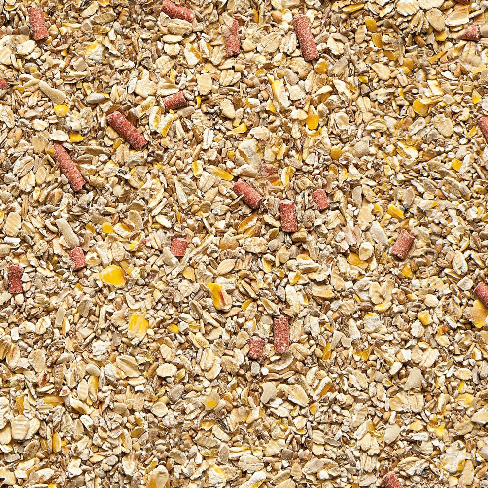 Gardman No Grow Wild Bird Seed Mix 4kg - image 2