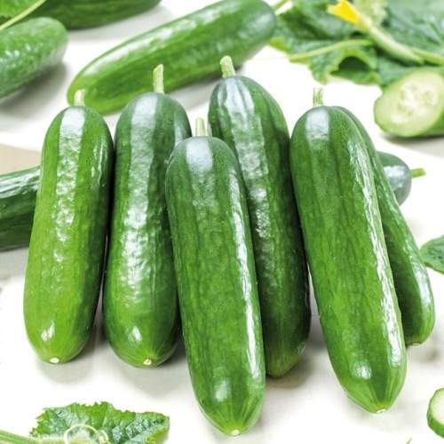 Fresh green cucumbers, elongated and smooth, showcasing a vibrant hue with slight ridges, arranged neatly with leafy green stems in the background.