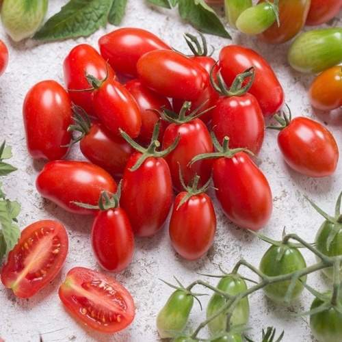 Bright red Raje 'Mirado Red' Roubovan tomatoes, small and oval-shaped, scattered on a textured surface with green herbs and unripe tomatoes in the background.