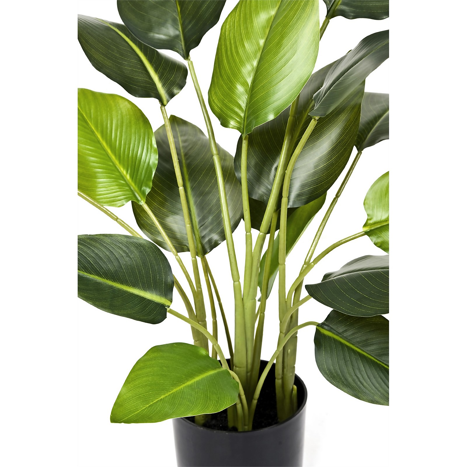 GreenBrokers Artificial Bird of Paradise Plant in Plastic Pot 78cm - image 2