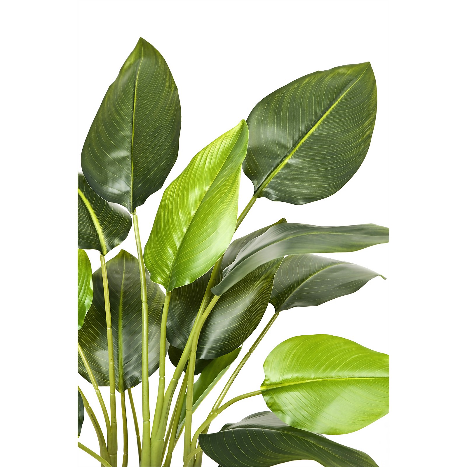 GreenBrokers Artificial Bird of Paradise Plant in Plastic Pot 78cm - image 3