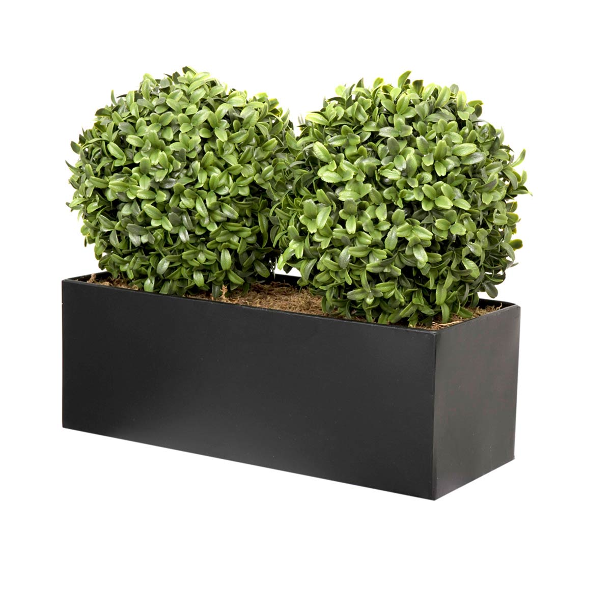 Artificial double ball topiary made of lush green boxwood, set in a sleek black straight tin window box, measuring 35cm/14in.