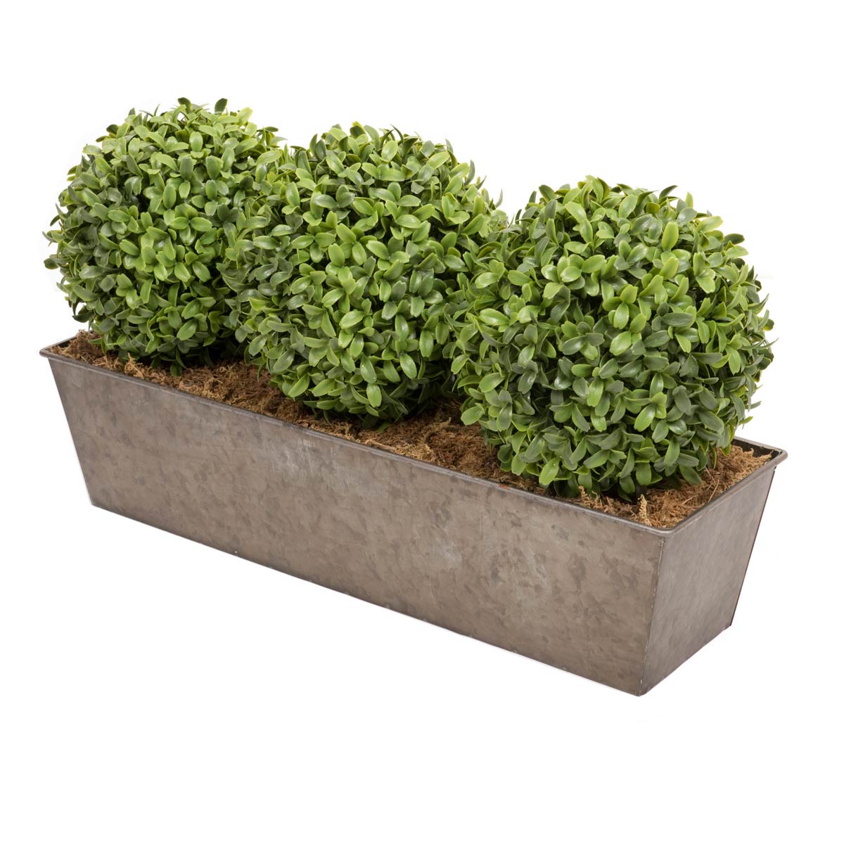 Artificial topiary features three lush green ball-shaped Aglaia boxwood plants in a rustic slanted tin window box, measuring 54 cm in length.