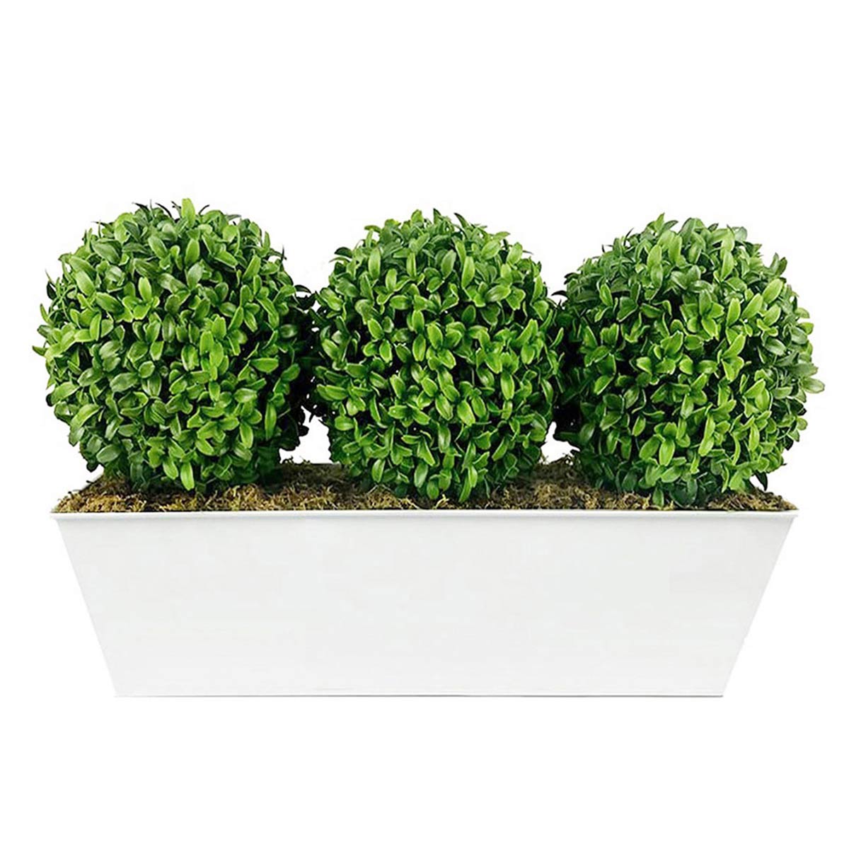 Artificial topiary featuring three lush green ball-shaped Aglaia boxwood plants in a sleek white slanted tin window box, measuring 54 cm in length.