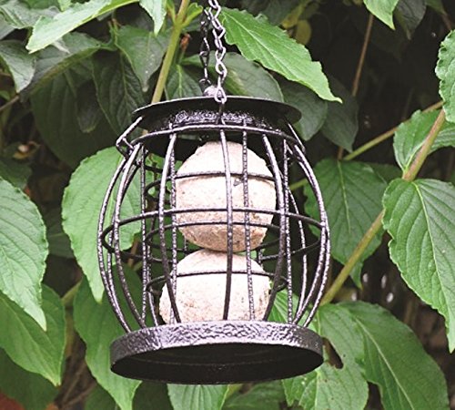Mini caged fat ball feeder in black metal with a circular wire design, featuring two fat balls inside, suspended by a chain against green foliage.