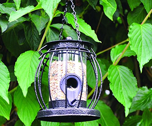 Grey Lantern Shaped Seed Bird Feeder - image 2