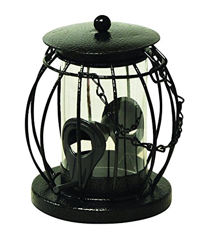 Black metal mini lantern seed feeder with a transparent glass center, featuring a chain and a hook for hanging, designed for attracting birds.