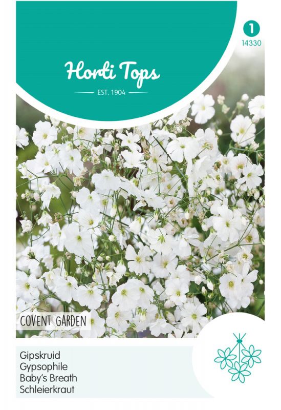 White flowers of Gypsophila (Baby's Breath) on a light green background, featuring the "Hortitops" logo and product details in a clean, modern design.