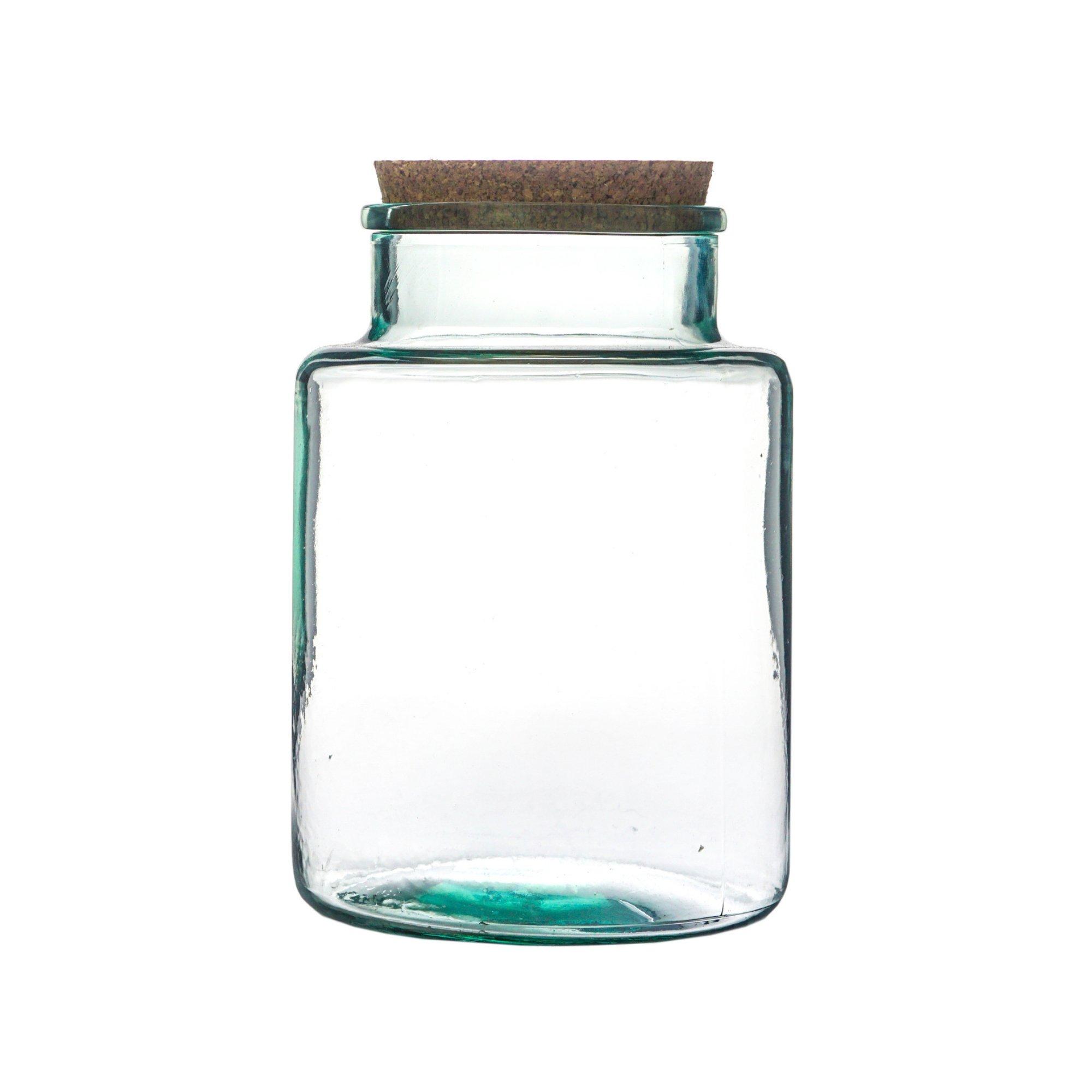 Clear glass bottle-shaped terrarium with a cork lid, measuring H26.5cm x W19cm, ideal for DIY plant arrangements.
