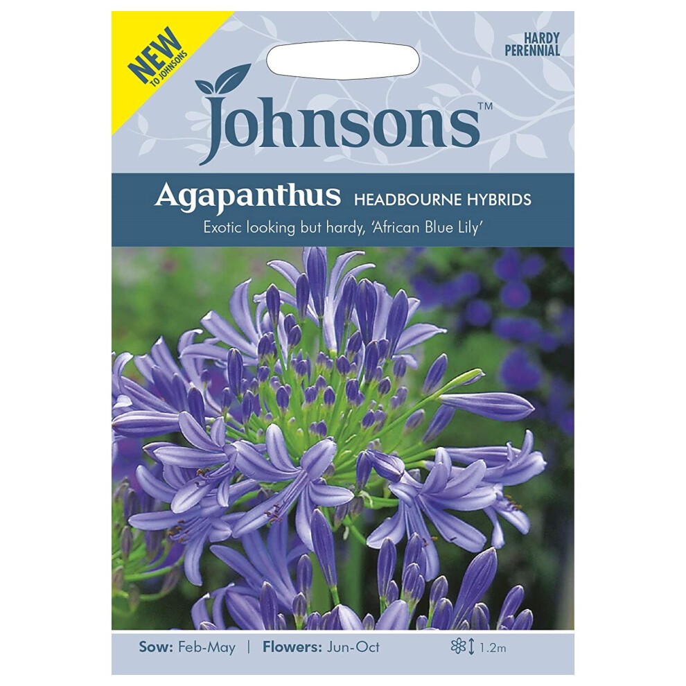 Colorful seed packet featuring Johnsons branding, showcasing Agapanthus Headbourne Hybrids with blue and purple flowers, labeled with sowing and flowering details.