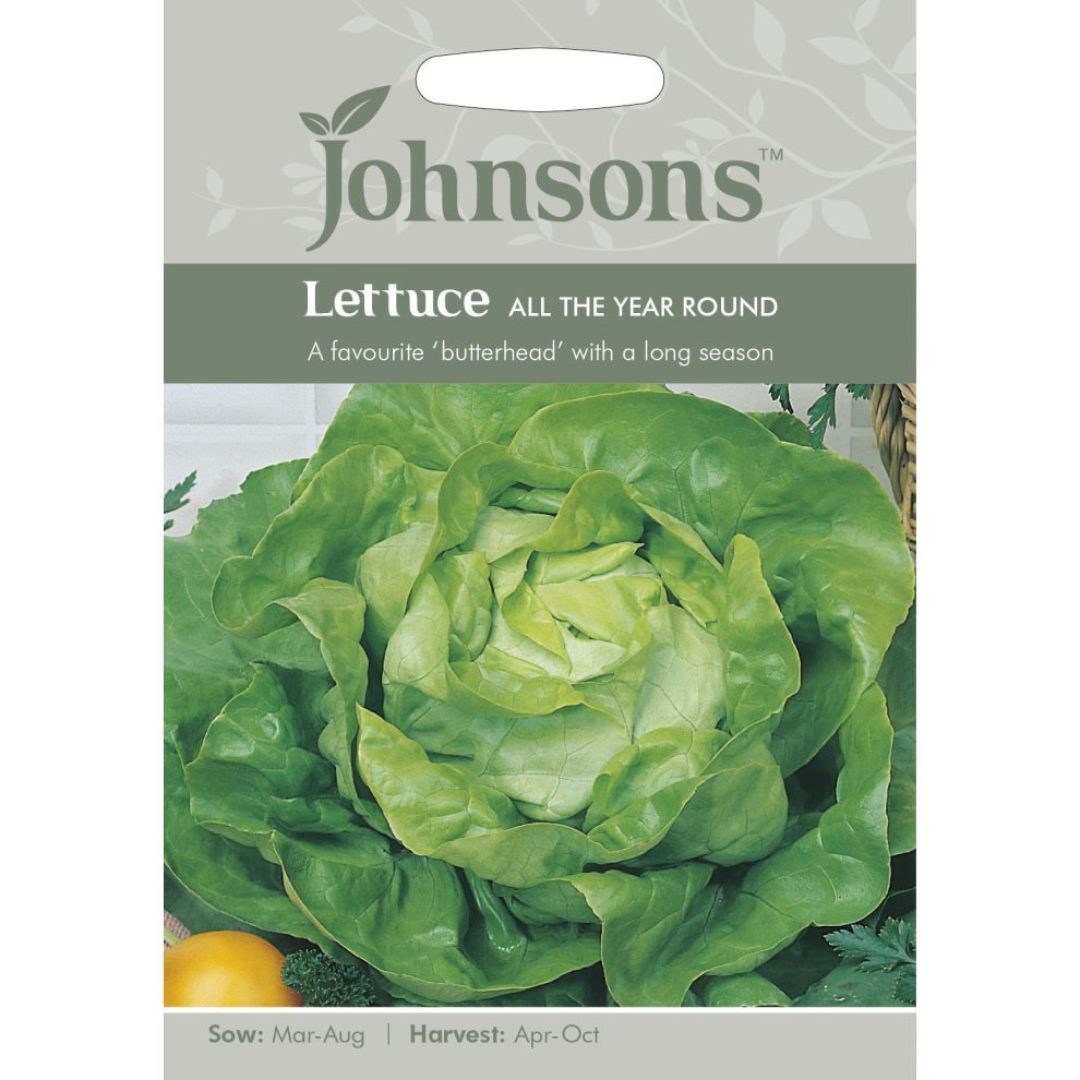 Green and white seed packet featuring a close-up of a butterhead lettuce, labeled "Lettuce All the Year Round," with sowing and harvesting details at the bottom.