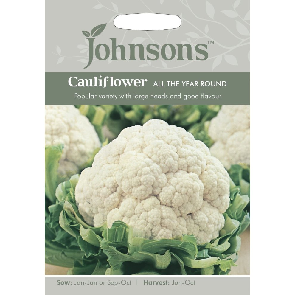 Pictorial seed packet featuring a large white cauliflower with green leaves, labeled "Johnsons Cauliflower All the Year Round," detailing sowing and harvesting times.