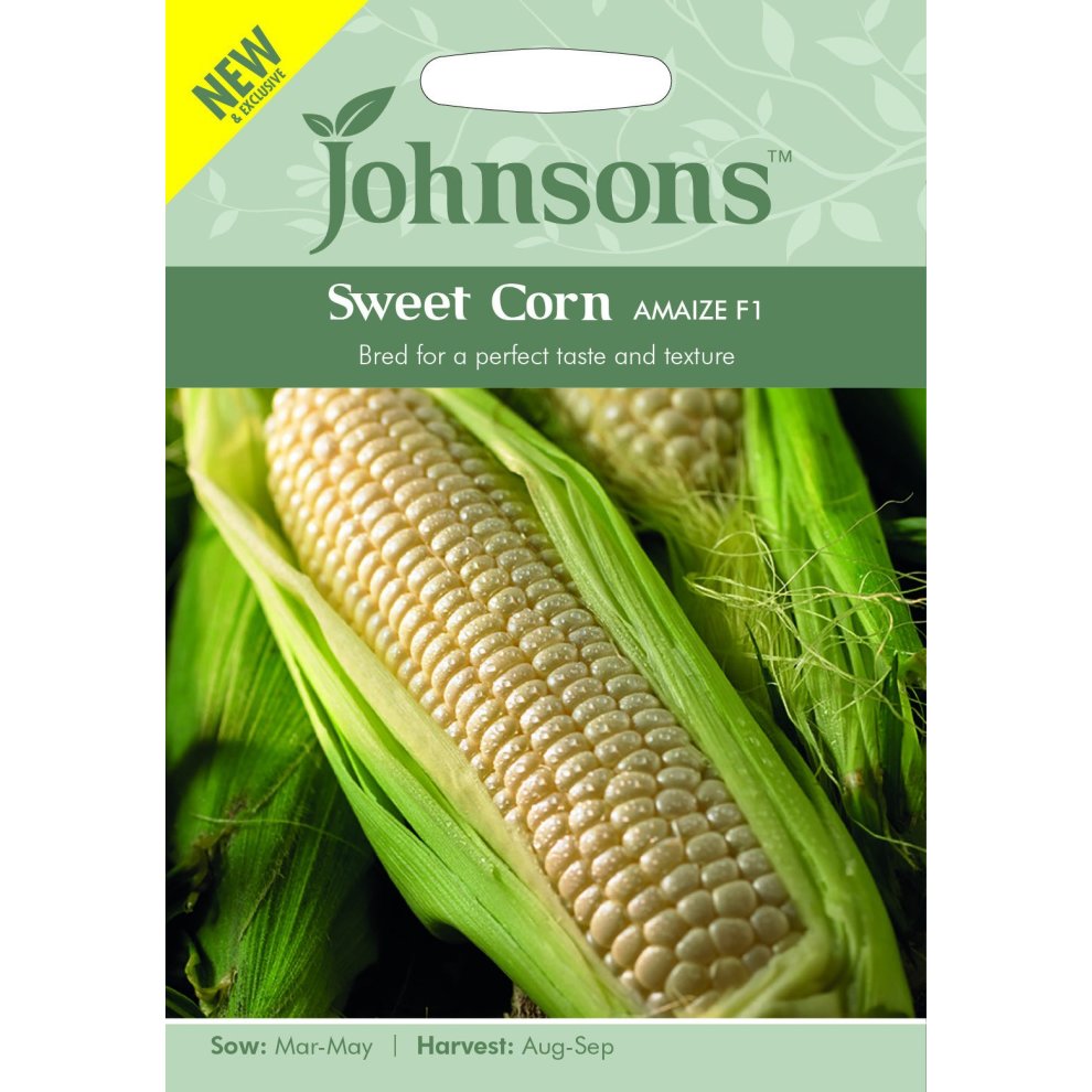 Bright green seed packet featuring "Johnsons Sweet Corn Amaize F1 Seeds," with an image of corn on the cob, highlighting its kernels and husk, and text about sowing and harvesting times.
