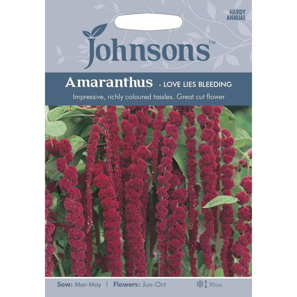 Brightly colored seed packet featuring "Love Lies Bleeding" Amaranthus, showcasing long, red tassels, with sowing and flowering details, set against a light blue background.