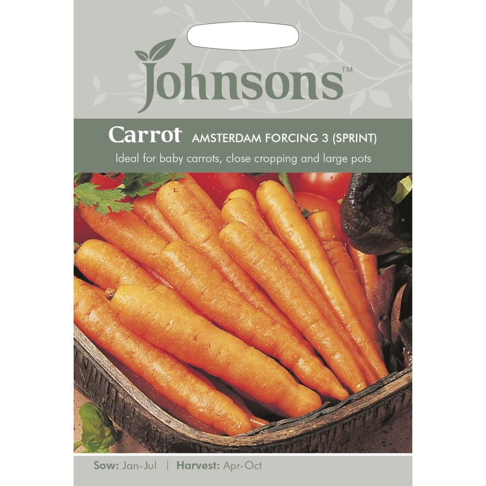 Pictorial seed pack featuring vibrant orange carrots, labeled "Carrot Amsterdam Forcing 3 (Sprint)," with sowing and harvesting details, set against a light gray background.