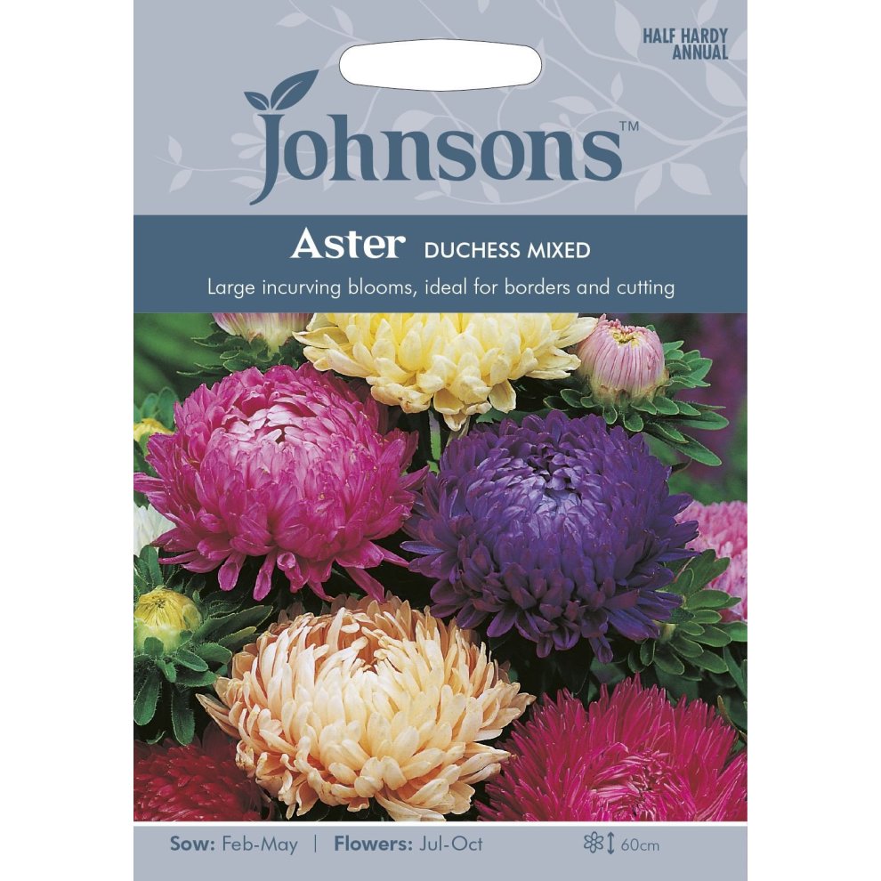 Colorful seed packet featuring large, incurving blooms of Aster Duchess Mixed in shades of purple, yellow, and pink, with sowing and flowering details on a light blue background.