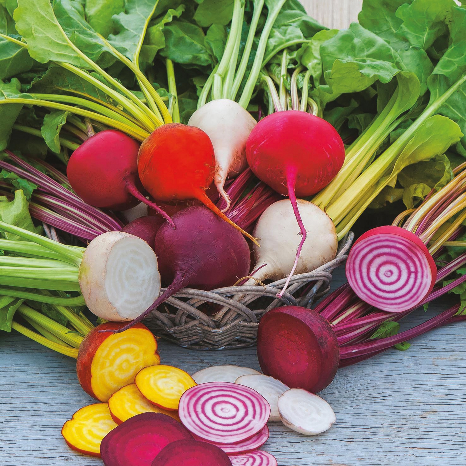 Johnsons Beetroot Mixed Vegetable Seeds 250 Pack - image 2