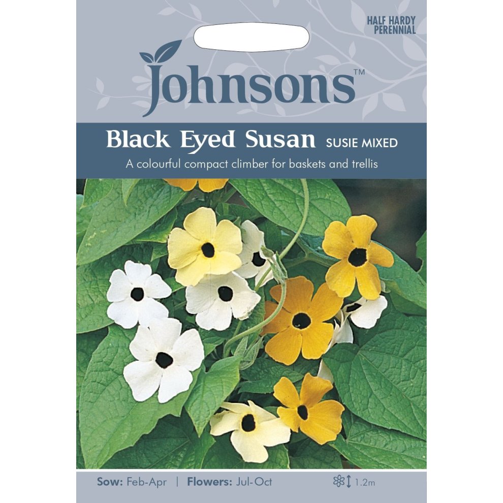 Pictorial seed pack featuring Black Eyed Susan Susie Mixed flowers in yellow and white, with a description and sowing instructions on a light blue background.