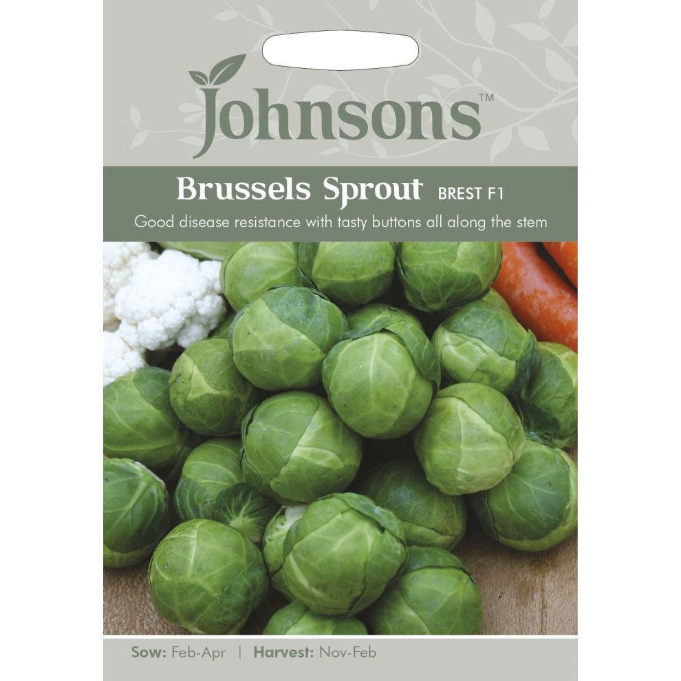 Green Brussels sprouts displayed on a light grey background, with a prominent label featuring "Johnsons" and "Brussels Sprout Brest F1," indicating 40 seeds for planting.