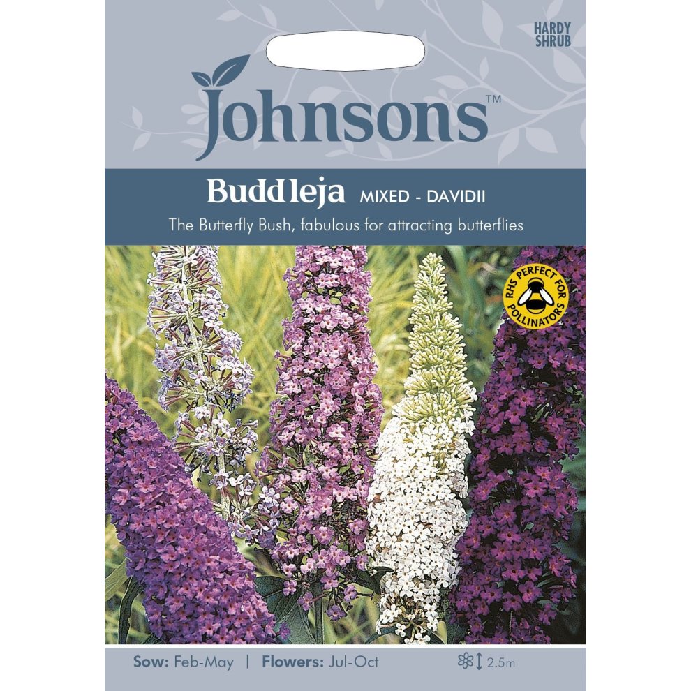 Johnsons Seeds Pictorial Pack featuring Buddleja Mixed with vibrant purple, white, and pink flowers, labeled for attracting butterflies, with sowing and flowering details.