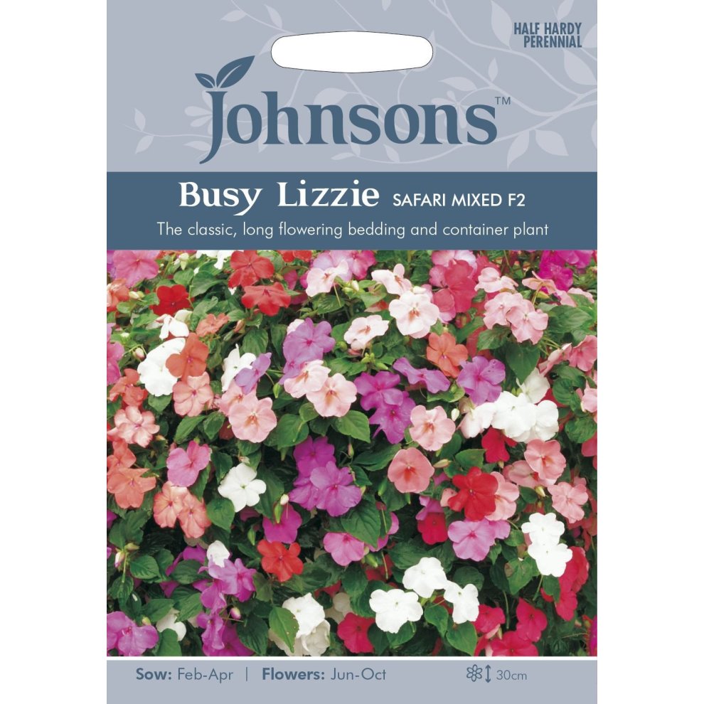 Pictorial seed packet featuring "Busy Lizzie Safari Mixed F2" with vibrant pink, white, and red flowers, labeled with sowing and flowering details, set against a light blue background.