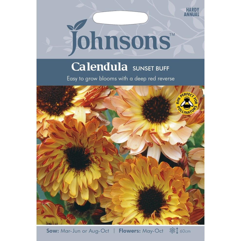 Pictorial seed pack featuring vibrant orange and yellow Calendula flowers, labeled "Sunset Buff," with details on sowing and flowering times.