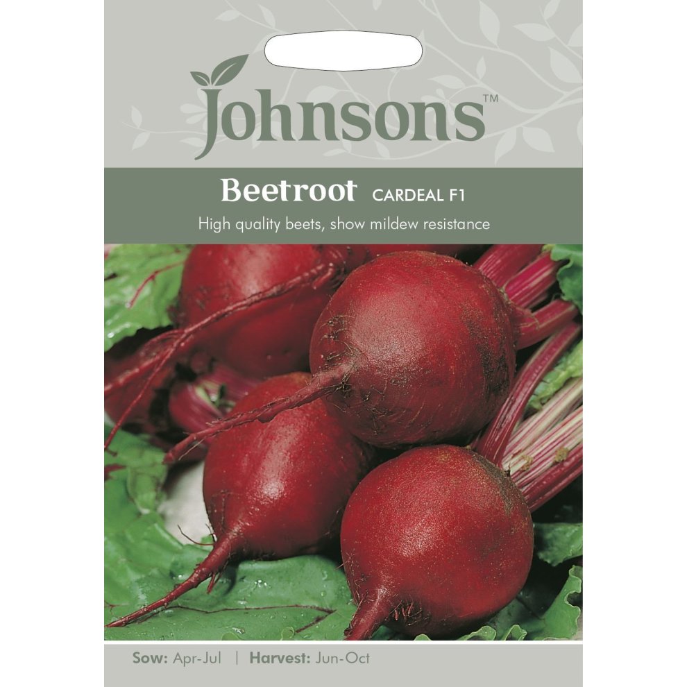 Pictorial seed packet featuring vibrant red beetroot with green leaves, labeled "Johnsons Beetroot Cardeal F1," showcasing sowing and harvesting details.