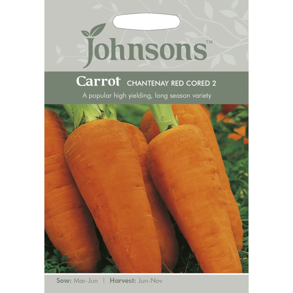 Pictorial seed packet featuring vibrant orange Chantenay Red Cored 2 carrots, with sowing and harvesting details, set against a green background.