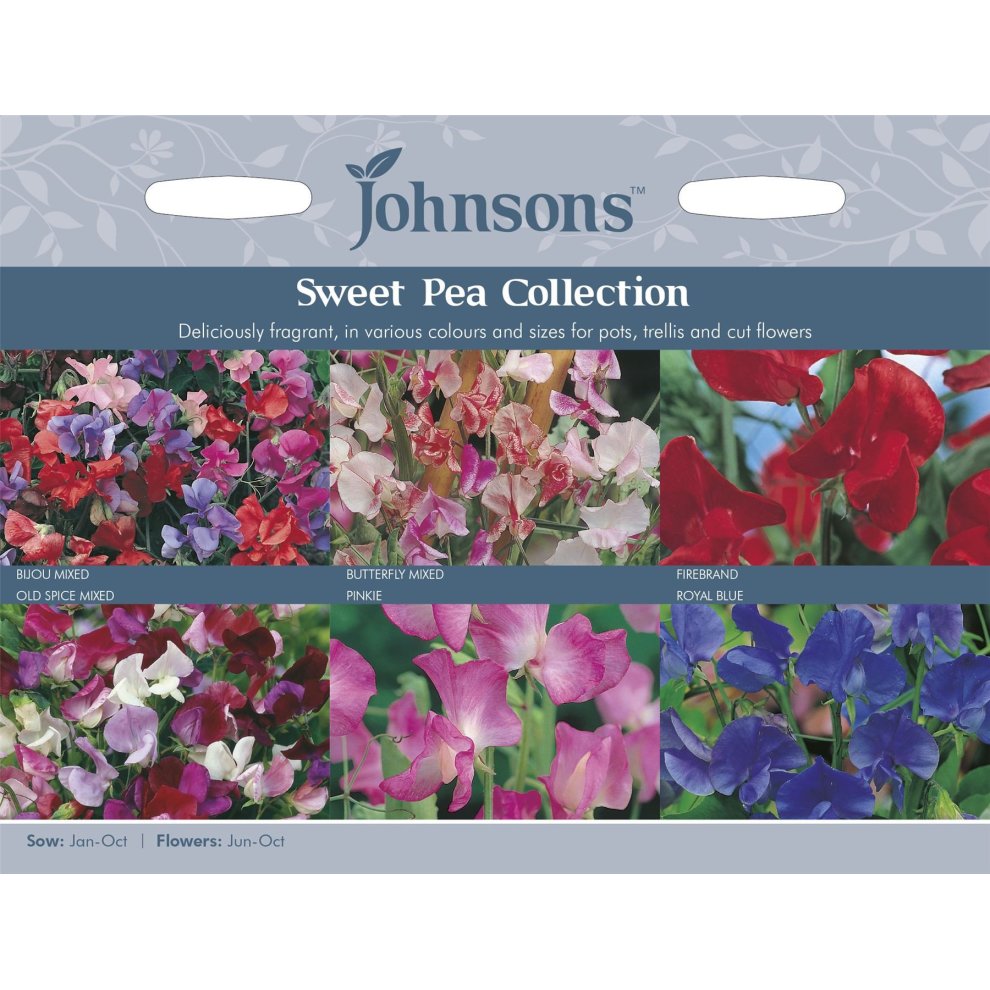 Colorful seed packet featuring the Johnsons Seeds logo, showcasing a collection of sweet pea flowers in various colors and patterns, with planting and flowering details.
