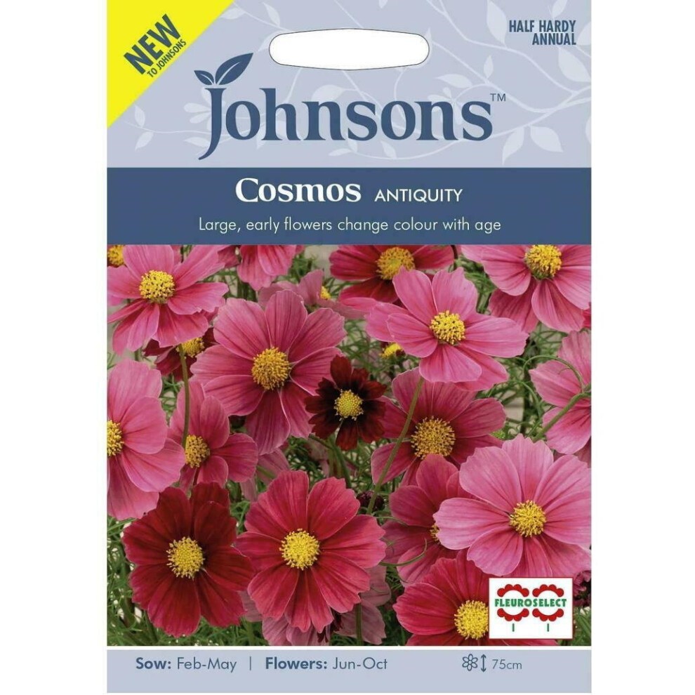 Brightly colored seed packet featuring Cosmos Antiquity flowers in shades of pink and red, with text highlighting sowing and flowering months, and a blue background.