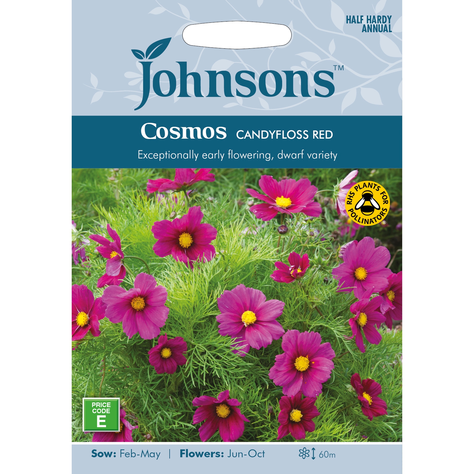 Bright pink dwarf cosmos flowers with feathery green foliage, packaged in a colorful seed packet labeled "Johnsons Cosmos Candyfloss Red," featuring sowing and flowering details.